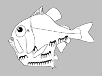 Image of Polyipnus laruei (Bigeye hatchetfish)