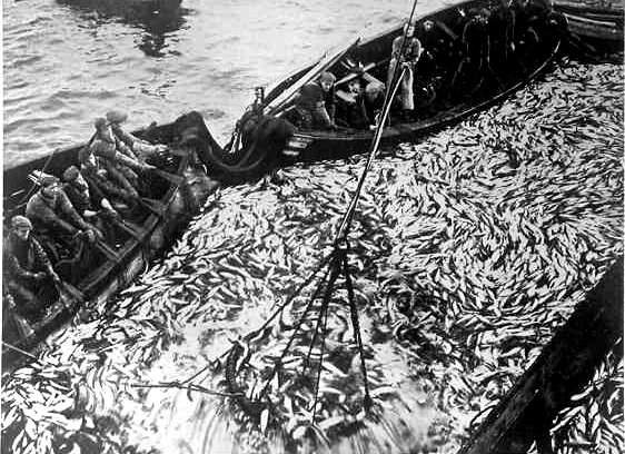 Handwerkliche Fischerei in Norwegen zwischen 1940-49 - Foto: by Anders Beer Wilse (1865 - 1949) [Gemeinfrei], via Wikimedia Commons