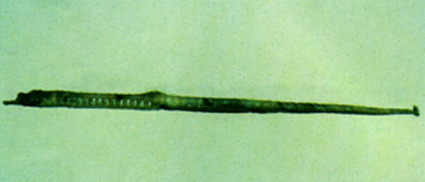 Halicampus grayi