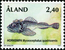 Myoxocephalus quadricornis